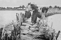  A runaway bridge of sand